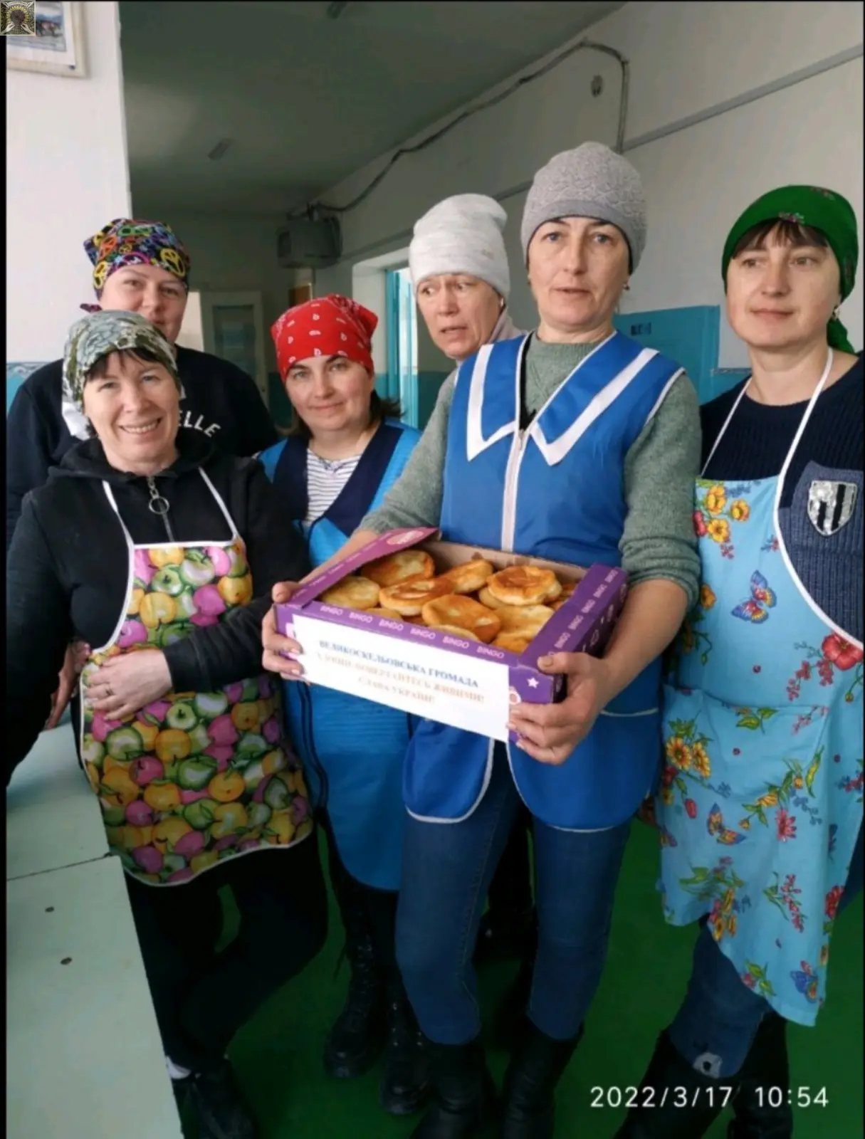 Маскувальна сітка на стійці