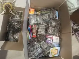 Звіт сухі душі